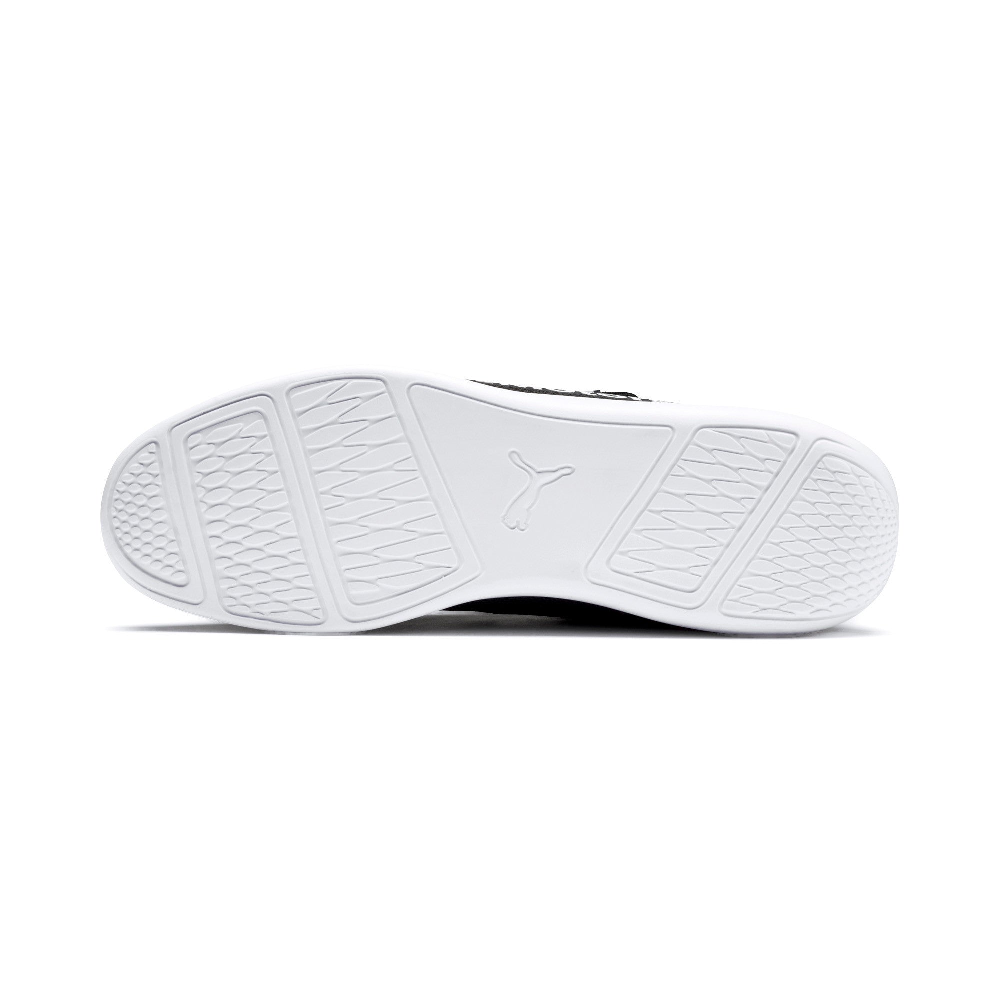 [306387-01] BMW Motorsport Evo Cat Racer
