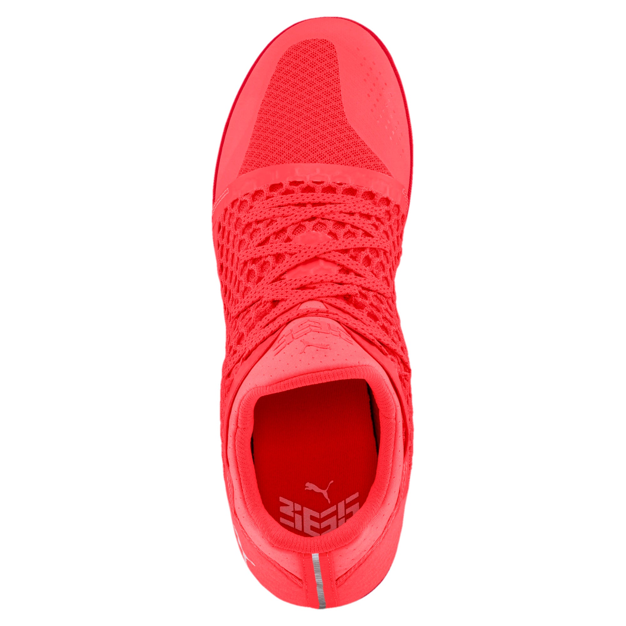 [104474-01] 365 Netfit Ct