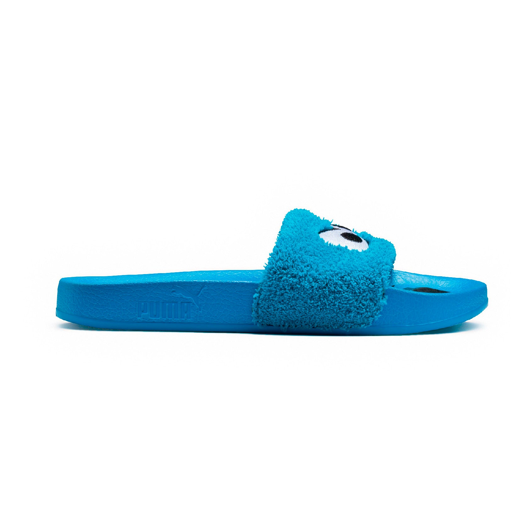 [362456-01] Leadcat Sesame Street