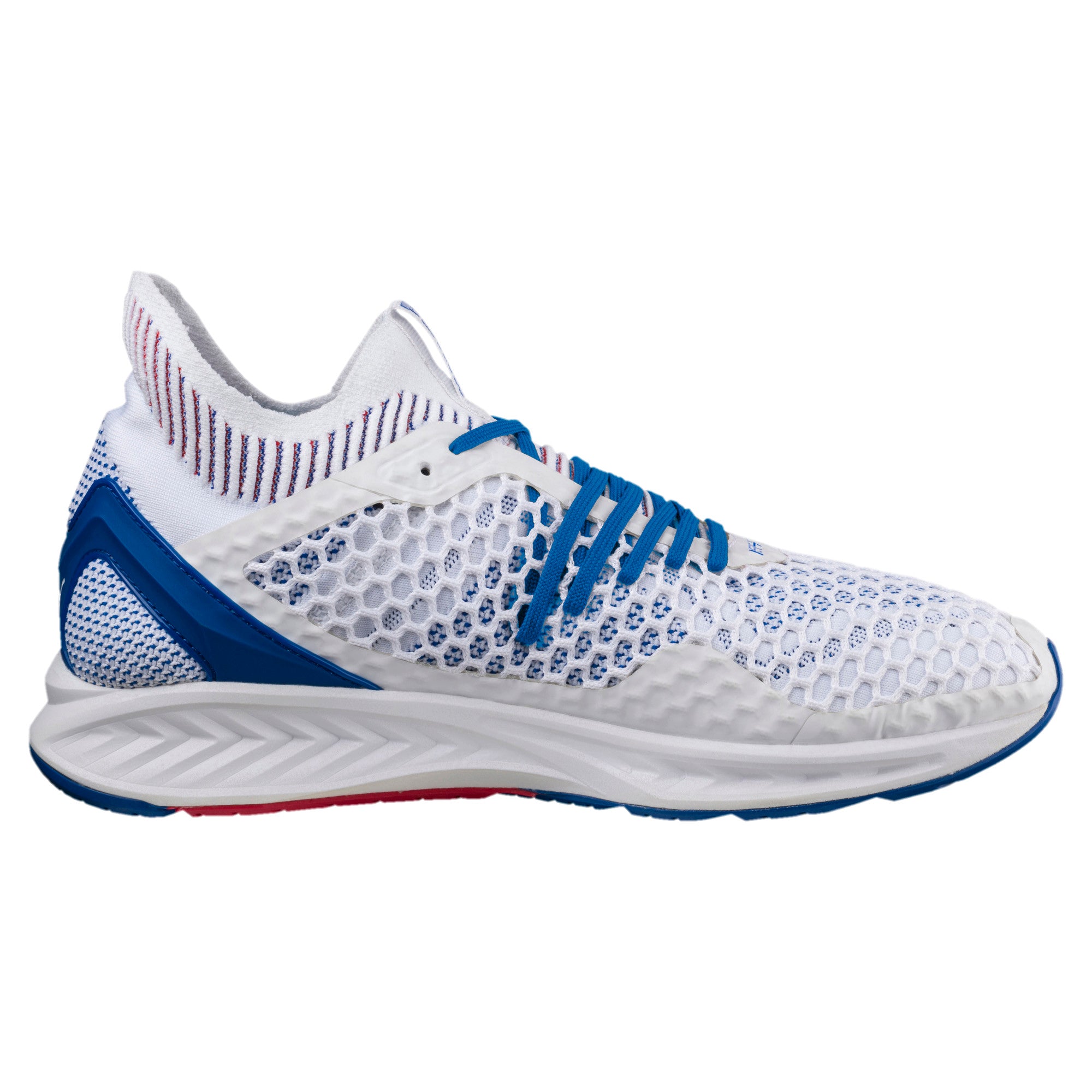 [190339-02] Ignite Netfit