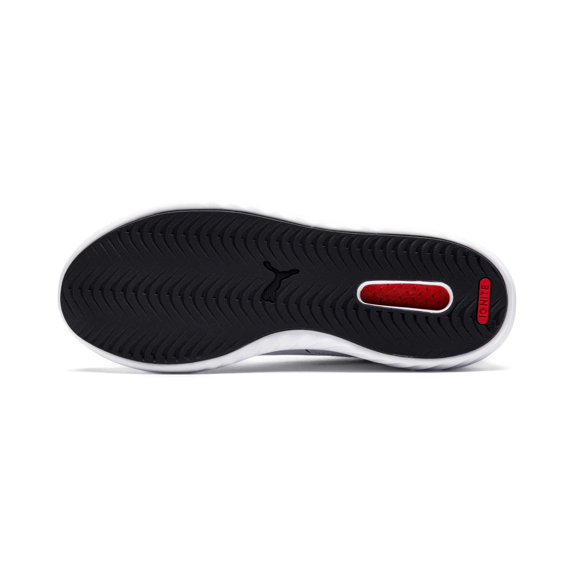 [306227-01] BMW Motorsport Speed Cat Evo Synth