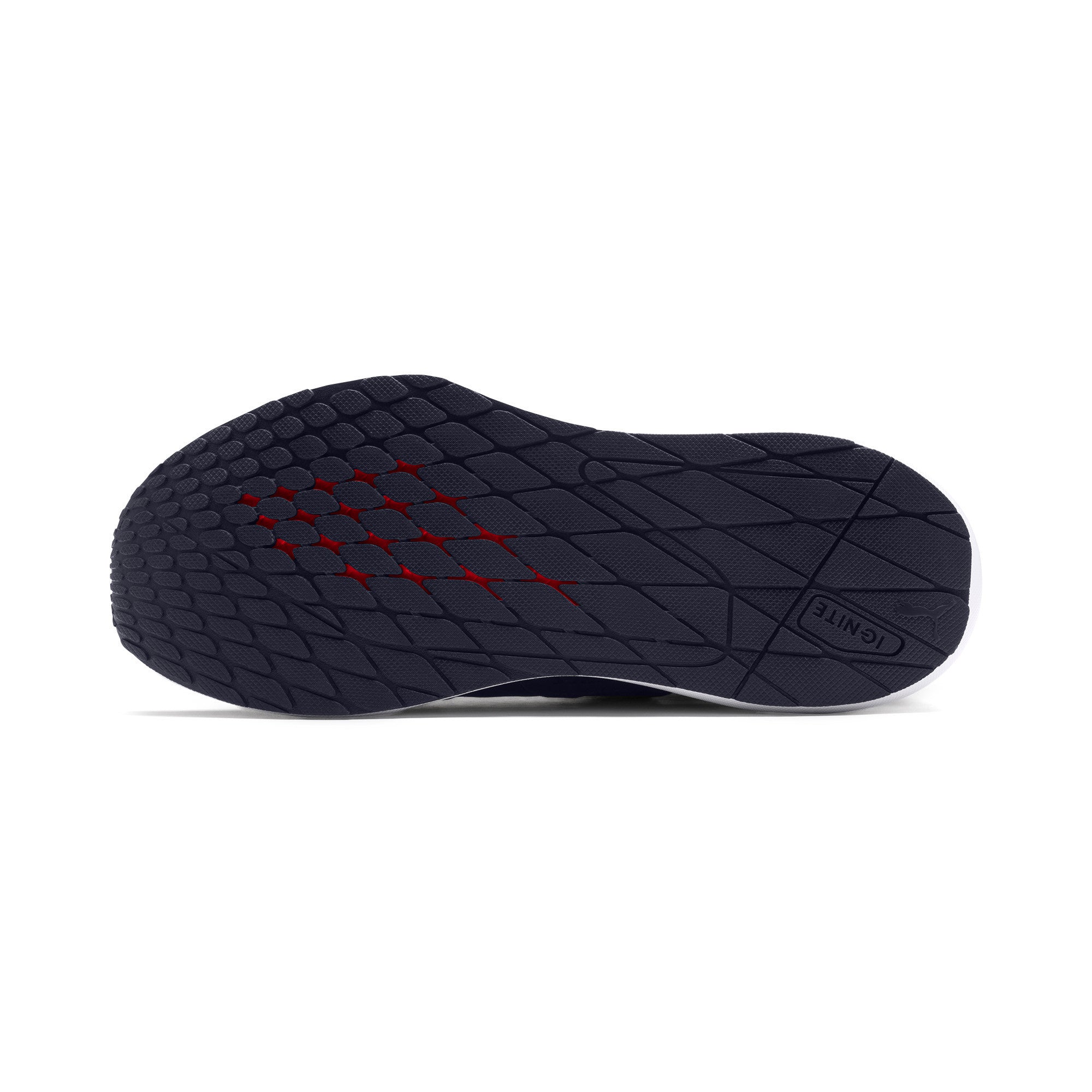 [339811-01] Mens Puma RBR Evo Cat II