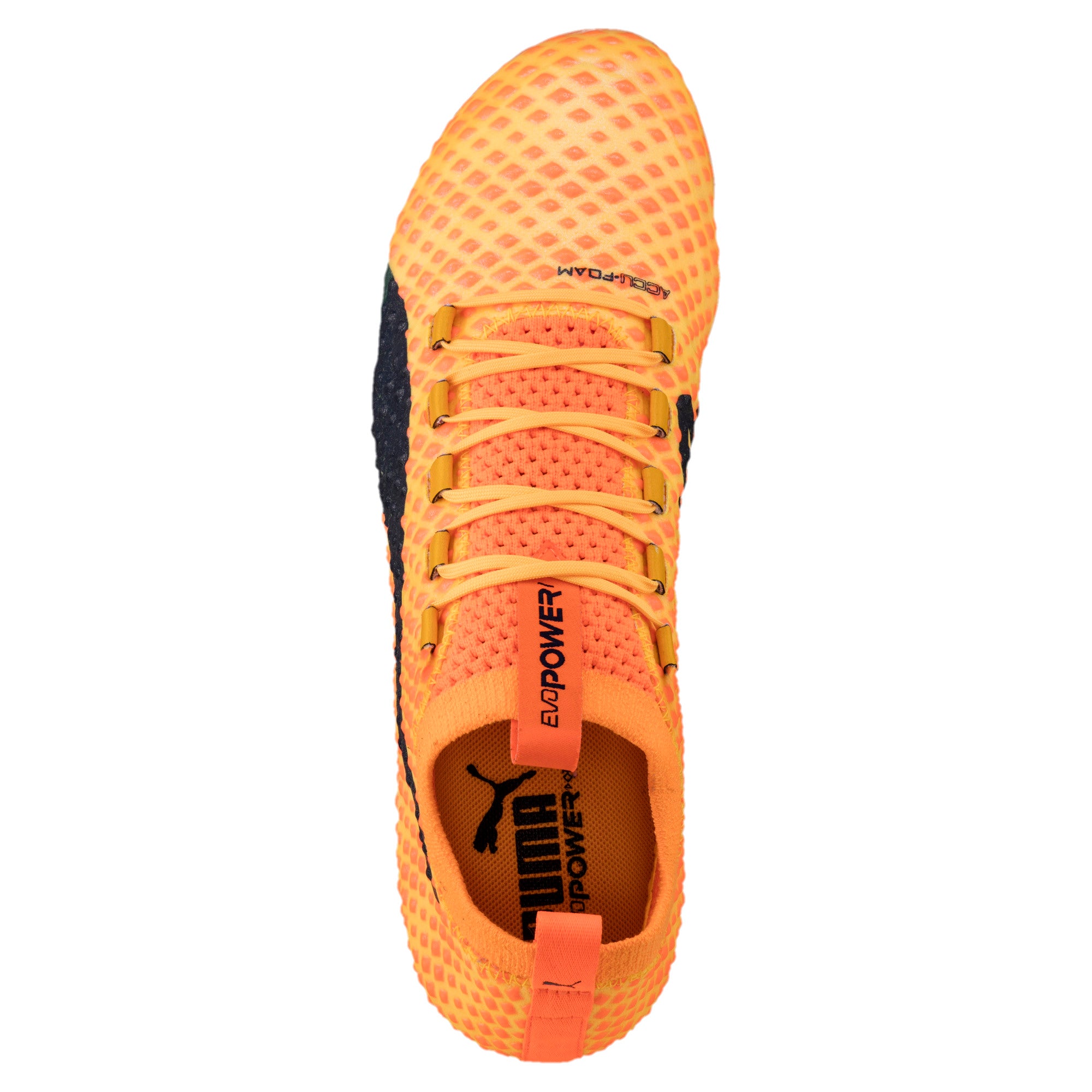 [103999-01] Mens Puma Evopower Vigor 3D 1 FG Cleats