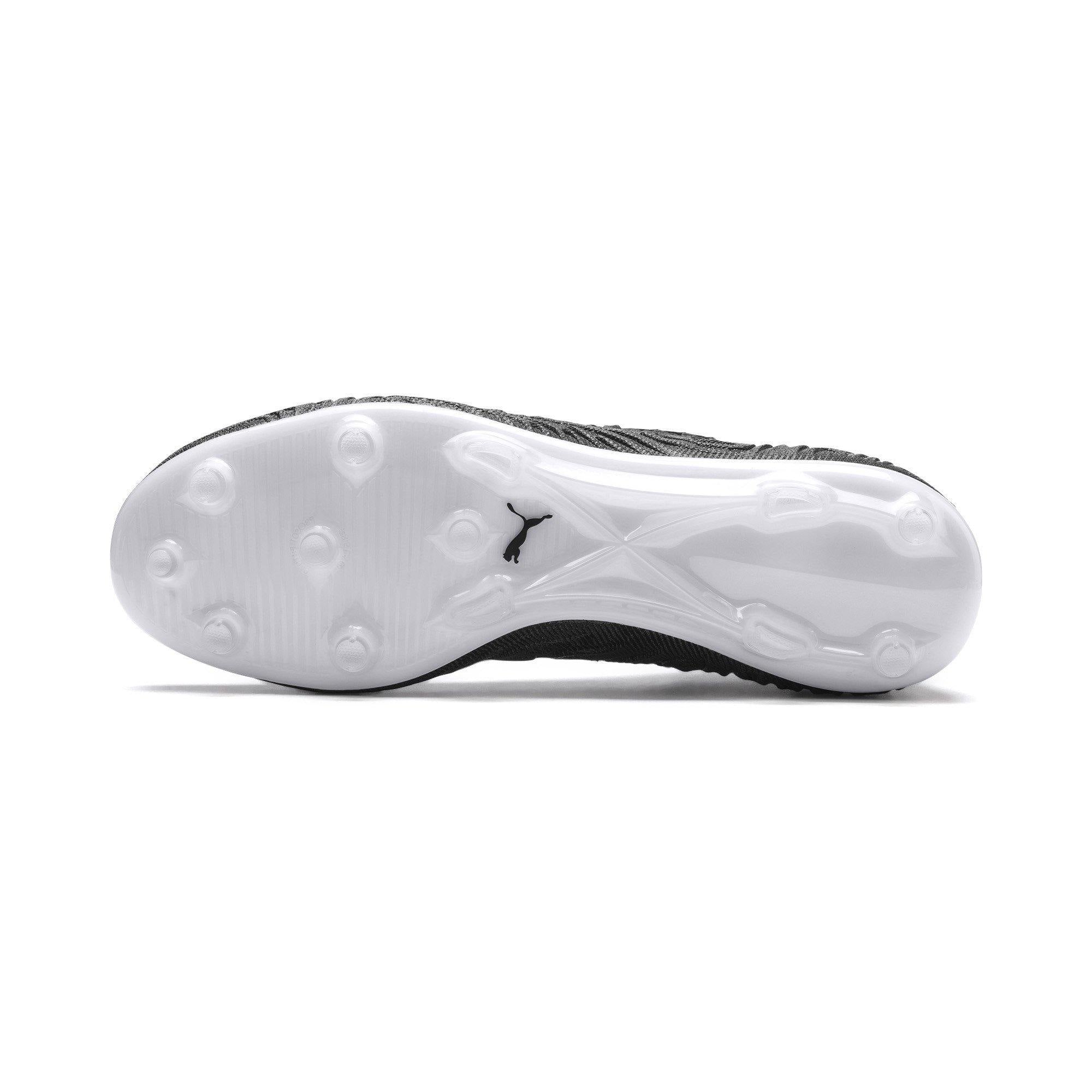 [105531-02] Mens Puma Future 19.1 Netfit FG/AG - sneakAR